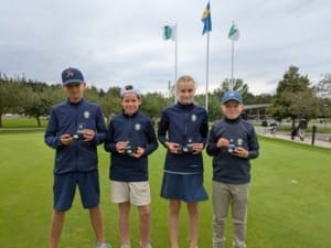 Räv